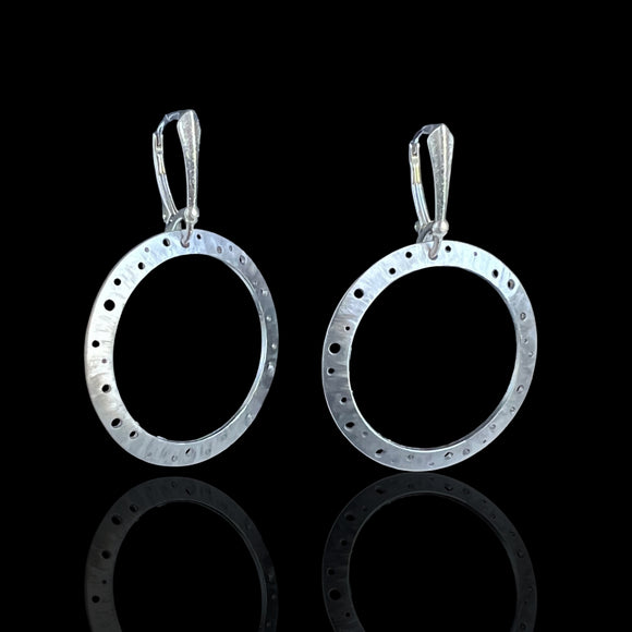 Sculptural Stainless Steel Hoop Earrings – DianaHDesigns Original